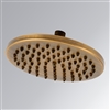 Leonardo Antique Brass Rain Showerhead