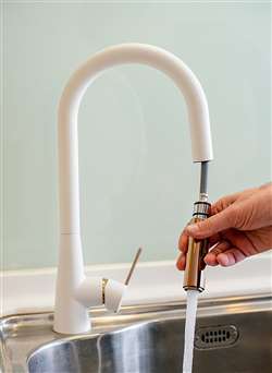 Rome Single Handle Kitchen Sink Faucet with Pull Down Sprayer