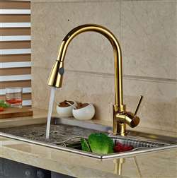 Manaus Countertop Gold Finish Kitchen Sink Faucet