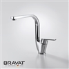 Bravat Countertop Single Handle Kitchen Sink Faucet