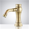 Fontana Brushed Gold Commercial Automatic Sensor Faucet