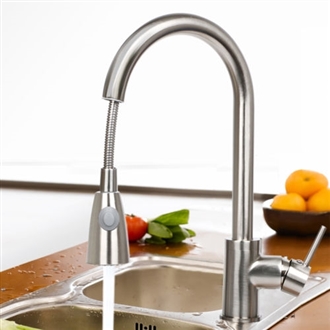 Venice Brushed Nickel Single Handle Kitchen Sink Faucet with Pull Down Spout