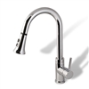 Huacho Chrome Kitchen Sink Faucet with Pull Down Spray