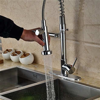 Calvados Single Handle Countertop Kitchen Sink Faucet