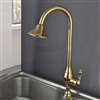 Fontana Milan 100% Solid Brass Gold Finish Kitchen Sink Faucet