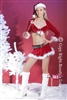 Miss Sexy Santa Claus Outfit * 3099