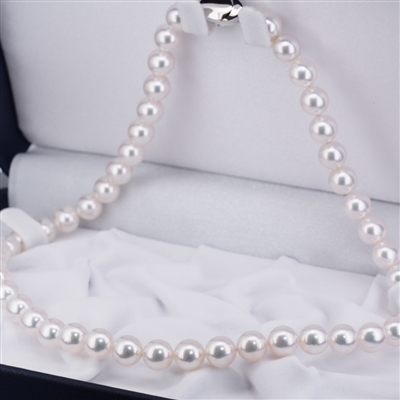 Japanese Akoya Hanadama Tennyo Pearl Necklace