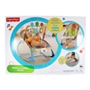 Infant-to-Toddler Rocker (Fisher Price)