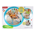 Infant-to-Toddler Rocker (Fisher Price)