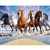 walltastic wild horses wall mural