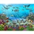 walltastic sea adventure wallpaper mural