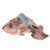 westmark scalex fish scaler