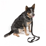 VTAC RANGER BUDDY: DOG LEASH AND COLLAR COMBO