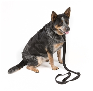 VTAC RANGER BUDDY: DOG LEASH AND COLLAR COMBO