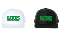 Gators Swim Snapback Hats