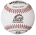 Pony League Baseball