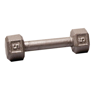 Body Solid SDX5 Hex Dumbbell 5 lbs. Image