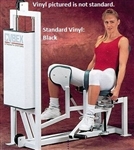 Cybex Galileo Hip Abduction/Adduction Image