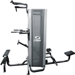 Cybex Dual Standing Chin Dip Assist / Seated Row Image