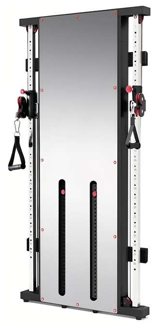 French Fitness Wall Mounted Mirror Functional Trainer Image