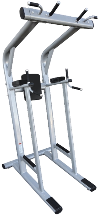 French Fitness FFS Silver Pull Up / Vertical Knee Raise VKR Image