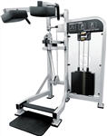 French Fitness Shasta Selectorized Standing Calf Raise Image