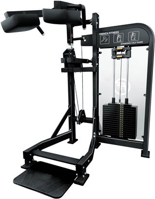 French Fitness Tahoe Selectorized Standing Calf Raise Image