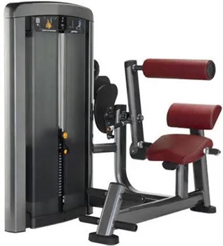 Life Fitness Insignia Series Back Extension Image