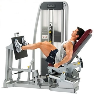 Cybex Eagle Leg Press 11040 Image