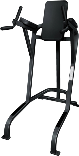 Cybex VKR Leg Raise Chair / Dip Image