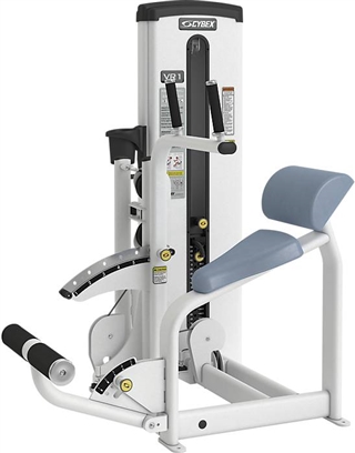 Cybex VR1 Dual Abdominal/Back Extension Image