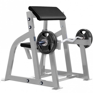 Life Fitness Signature Preacher Arm Curl Bench Image