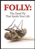 Folly: The Dead Fly That Spoils Your Life