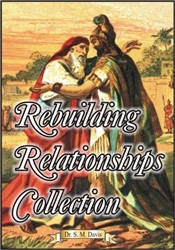 The Rebuilding Relationships Collection - MP4 Flash Drive