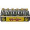 Topo Chico Sparkling Water Plastic 20oz 24 pk