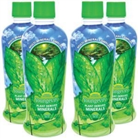 Youngevity Plant Derived Minerals 4 Pack