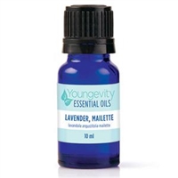 Youngevity Lavender Mailette Essential Oil _10ml
