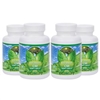 Youngevity Ultimate CM Joint Health Pain Management 4 Pack