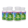 Youngevity Ultimate Multi EFA 4 Pack