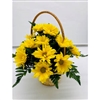 Yellow Daisy Basket