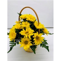 Yellow Daisy Basket