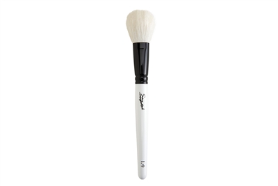 Best Blush Makeup Brush