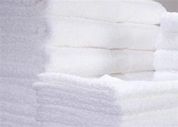White Premium Terry Washcloths