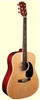 Indiana Dreadnought Spruce Top Guitar (Multi-Colors)