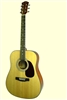 Glen Burton Conservatory SGA41 Dreadnought Acoustic Guitar (Multi-Colors)