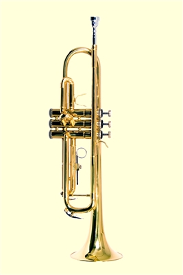 Trumpet WTR (Multi-Colors)