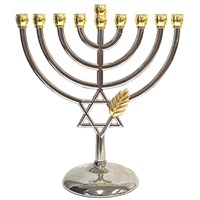 980: Menorah -Silver Plated Star of David