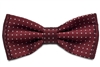 Polka Dot Bow Tie