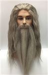 Dumbledore Wig, Beard and Moustache Costume Set