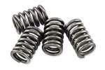 EBC CSK Clutch Spring Kit